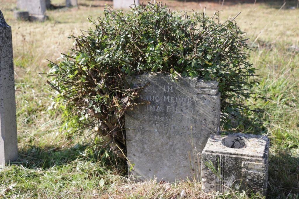 Uncovering history; previously hidden grave stone
