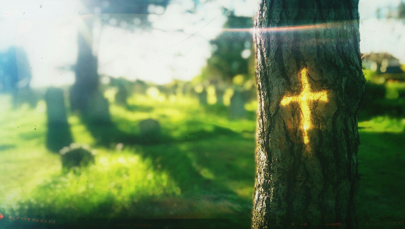 Reflection of cross on tree