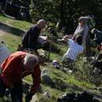 Churchyard tidy