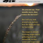 201708 Parish Magazine Cover