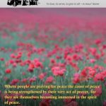 201711 Parish Magazine Cover