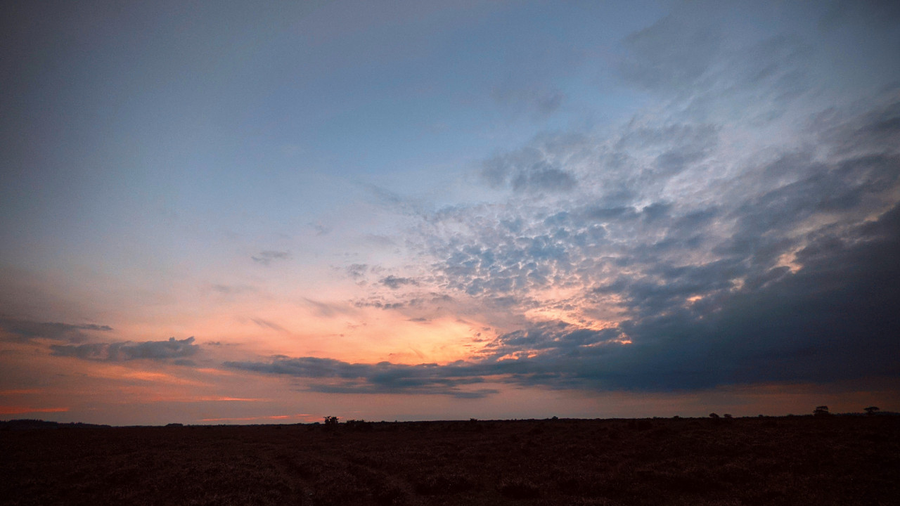 Sunset over the New Forest