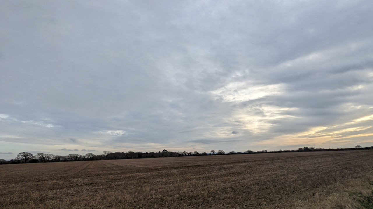 Field in February