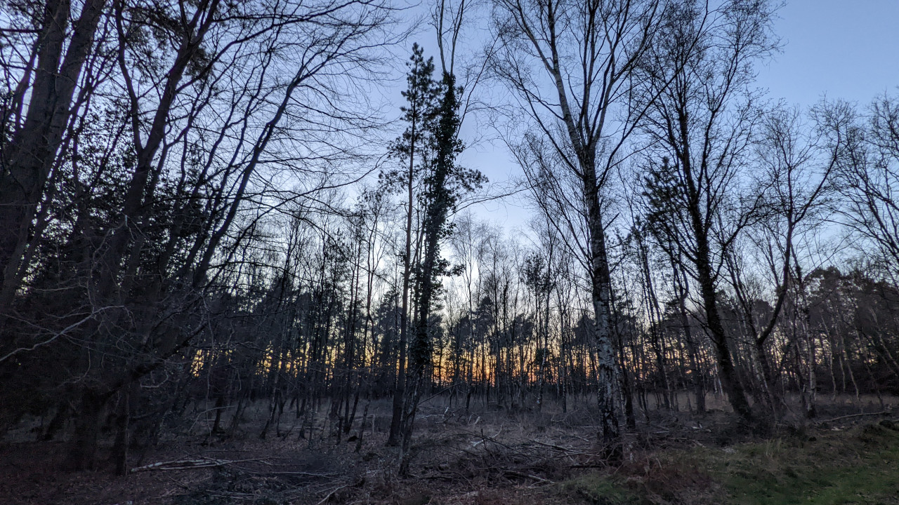 Norley Wood 20220320