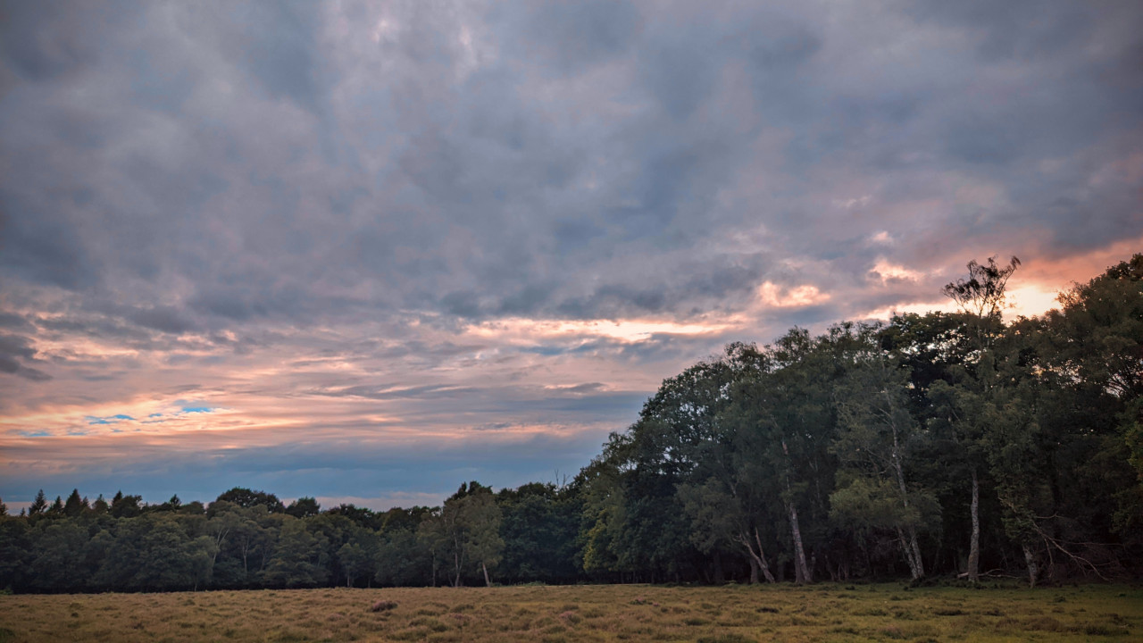 Sunset near Lyndhurst